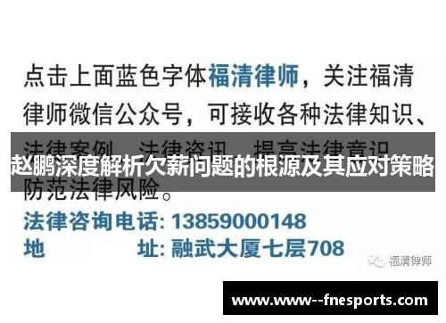 赵鹏深度解析欠薪问题的根源及其应对策略
